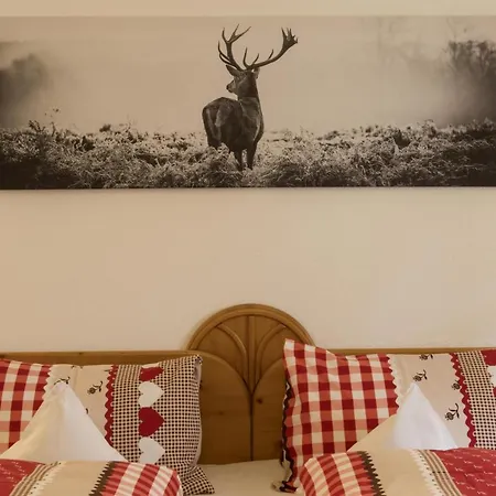 鲁迪吉尔旅馆 住宿加早餐酒店 圣加伦基希