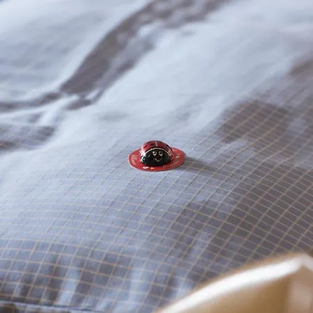 鲁迪吉尔旅馆 4* 圣加伦基希