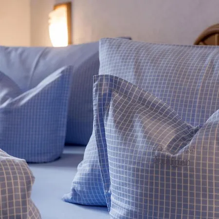 鲁迪吉尔旅馆 住宿加早餐酒店 圣加伦基希